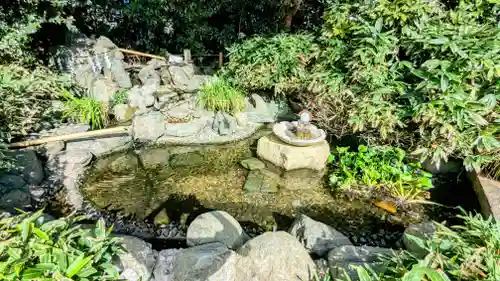 櫻木神社の景色