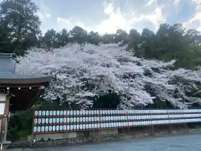 意賀美神社の{uncategorized: "未分類", other: "その他", undefined: "問題あり", building: "その他建物", grave: "お墓", sacred_gate: "鳥居", guardian: "狛犬", statue: "像", buddha: "仏像", history: "歴史", nature: "自然", garden: "庭園", animal: "動物", pagoda: "塔", temizu: "手水舎", mountain_gate: "山門・神門", sanctuary: "本殿・本堂", subordinate: "末社・摂社", art: "芸術", scenery: "景色", jizo: "地蔵", ema: "絵馬", goshuin: "御朱印", omikuji: "おみくじ", items: "授与品その他", amulet: "お守り", goshuincho: "御朱印帳", eats: "食事", festival: "お祭り", votive_dance: "神楽", shichigosan: "七五三参", wedding: "結婚式", experience: "体験その他", initially: "初詣", around: "周辺", anti_infection: "感染症対策"}