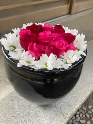 菅生神社の手水舎