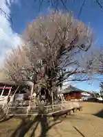 千葉寺(千葉県)