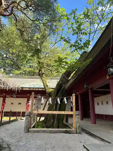 笠間稲荷神社(茨城県)