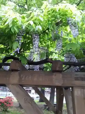 真宗大谷派札幌別院の庭園