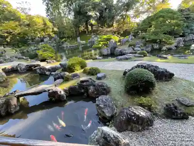 醍醐寺(京都府)