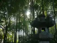能仁寺の自然