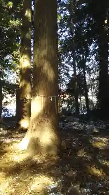 山﨑同姓八幡宮のその他建物