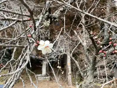 北野神社(福島県)