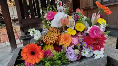 勝林寺(京都府)