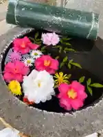 今市報徳二宮神社の手水舎