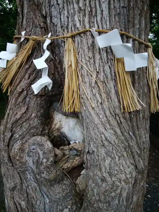 錦山天満宮のその他建物
