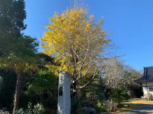 円寿寺(千葉県)