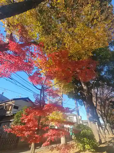 武蔵一宮氷川神社(埼玉県)