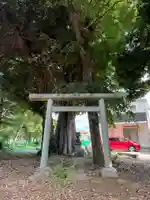 祠(千葉県)