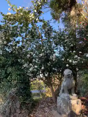 玉前神社の狛犬