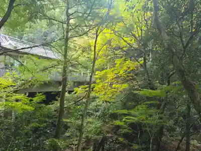 大本山七宝瀧寺(大阪府)