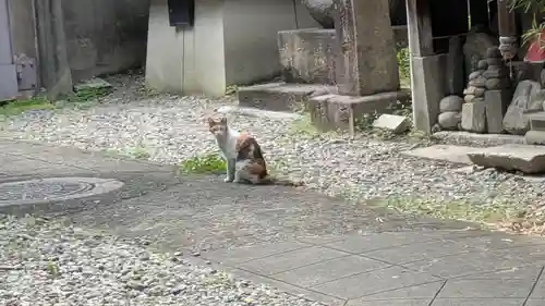 行願寺（革堂）(京都府)