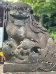 （芝生）浅間神社の狛犬