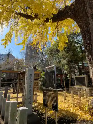 芝東照宮の自然