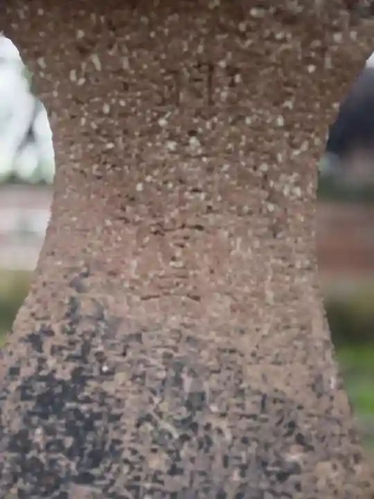尾山神社(石川県)