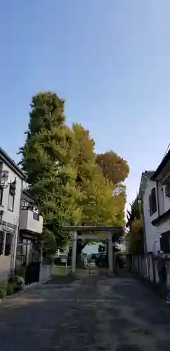 五北天祖神社の鳥居