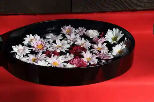 阿邪訶根神社の手水舎