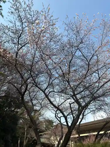 熱田神宮の{uncategorized: "未分類", other: "その他", undefined: "問題あり", building: "その他建物", grave: "お墓", sacred_gate: "鳥居", guardian: "狛犬", statue: "像", buddha: "仏像", history: "歴史", nature: "自然", garden: "庭園", animal: "動物", pagoda: "塔", temizu: "手水舎", mountain_gate: "山門・神門", sanctuary: "本殿・本堂", subordinate: "末社・摂社", art: "芸術", scenery: "景色", jizo: "地蔵", ema: "絵馬", goshuin: "御朱印", omikuji: "おみくじ", items: "授与品その他", amulet: "お守り", goshuincho: "御朱印帳", eats: "食事", festival: "お祭り", votive_dance: "神楽", shichigosan: "七五三参", wedding: "結婚式", experience: "体験その他", initially: "初詣", around: "周辺", anti_infection: "感染症対策"}