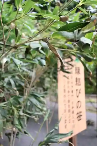 常陸第三宮　吉田神社(茨城県)