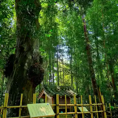 龍潭寺(静岡県)