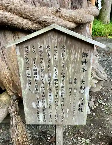 小國神社(静岡県)