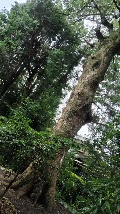 伊豆神社(滋賀県)