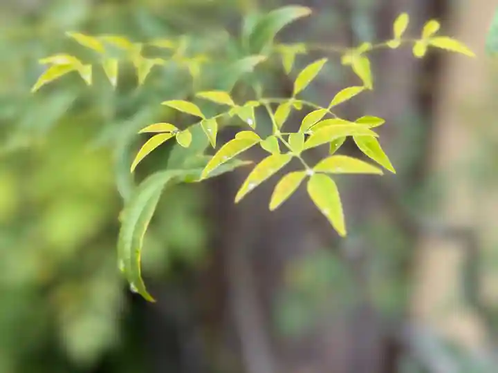 西方山極楽寺(岐阜県)
