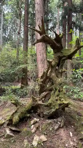 御岩神社(茨城県)