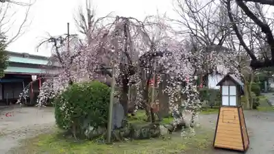 長建寺(京都府)