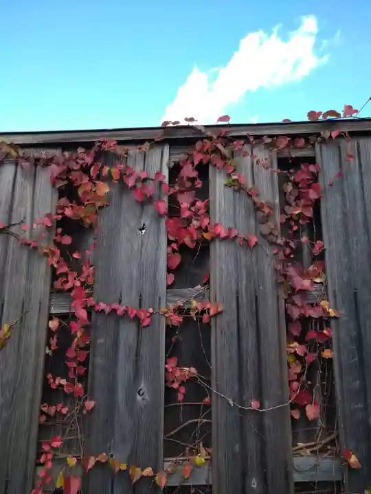 阿智神社の自然