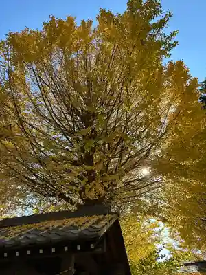 小野神社(東京都)