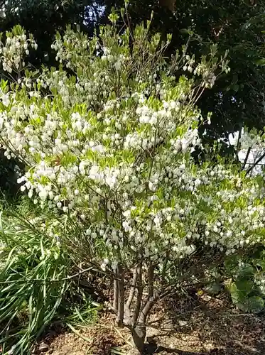 比佐豆知神社(三重県)