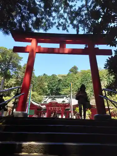 箱根神社の鳥居