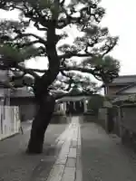 都久生須麻神社(滋賀県)