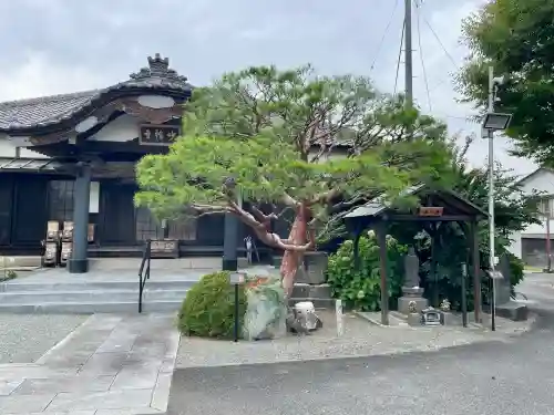 妙輪寺(神奈川県)