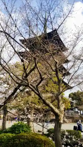 東寺（教王護国寺）の塔