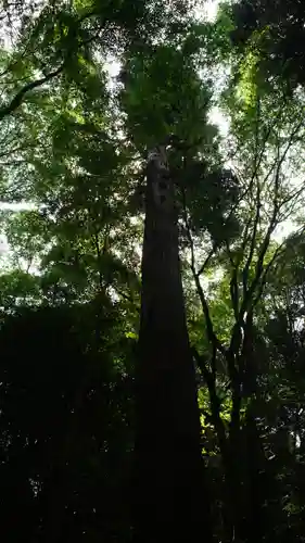 星田妙見宮(大阪府)