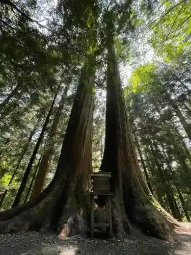 三峯神社(埼玉県)