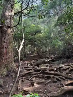 筑波山神社 女体山御本殿(茨城県)