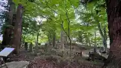 妙雲寺(栃木県)