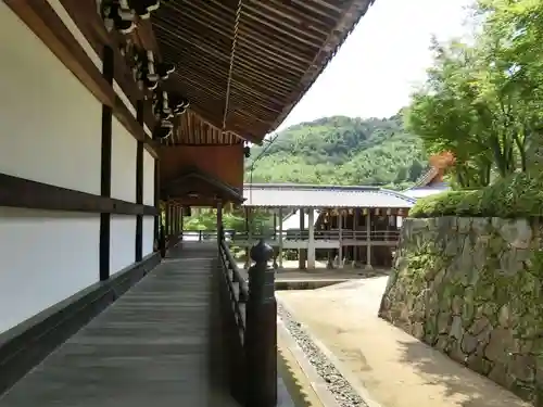 光明寺（粟生光明寺）(京都府)