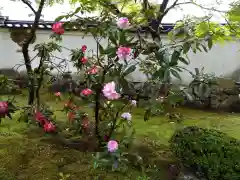 金剛輪寺(滋賀県)