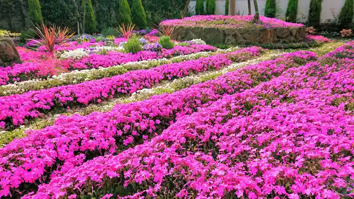 寿量山 速成寺の庭園