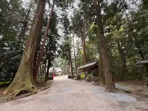 伊和神社の{uncategorized: "未分類", other: "その他", undefined: "問題あり", building: "その他建物", grave: "お墓", sacred_gate: "鳥居", guardian: "狛犬", statue: "像", buddha: "仏像", history: "歴史", nature: "自然", garden: "庭園", animal: "動物", pagoda: "塔", temizu: "手水舎", mountain_gate: "山門・神門", sanctuary: "本殿・本堂", subordinate: "末社・摂社", art: "芸術", scenery: "景色", jizo: "地蔵", ema: "絵馬", goshuin: "御朱印", omikuji: "おみくじ", items: "授与品その他", amulet: "お守り", goshuincho: "御朱印帳", eats: "食事", festival: "お祭り", votive_dance: "神楽", shichigosan: "七五三参", wedding: "結婚式", experience: "体験その他", initially: "初詣", around: "周辺", anti_infection: "感染症対策"}