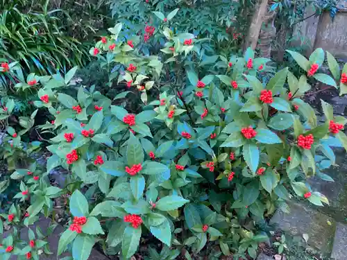 荏柄天神社(神奈川県)