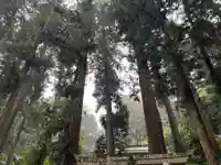 大宮温泉神社(栃木県)