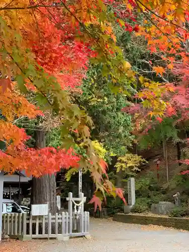 新倉富士浅間神社の自然